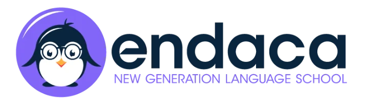 Endaca